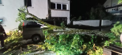 Ein umgestrzter Baum, der auf einem Fahrzeug liegt